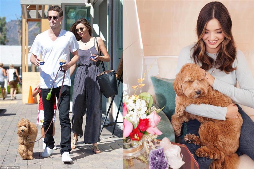 Cuộc sống xa hoa của những thú cưng giàu nhất hành tinh-10