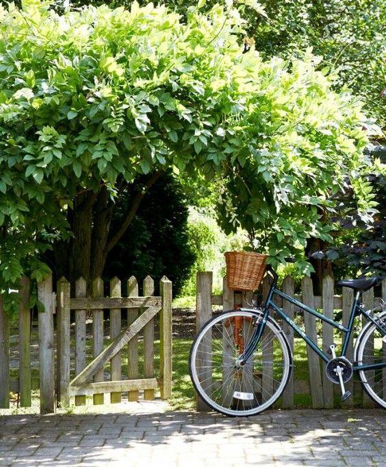 Tử vi 12 cung hoàng đạo thứ Ba ngày 22/6/2021: Kim Ngưu có bước nhảy vọt-1