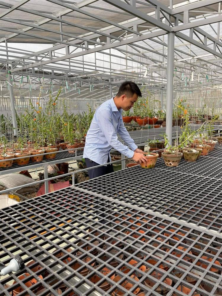 8X nghèo sưu tầm, nhân giống được vườn lan quý 450m2 ở Phú Thọ-2