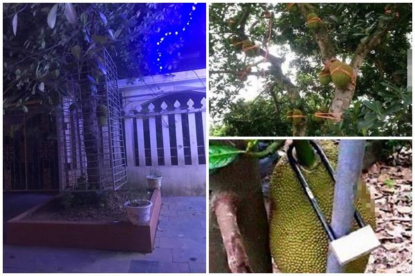 Cả xóm rủ nhau đi bắt cá rồi xếp chia đều cho cả 200 hộ trong làng-6