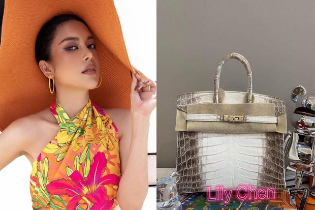 Ngọc Trinh - Lily Chen đụng từ siêu xe đến túi Hermès, còn bị nghi chung bồ-2