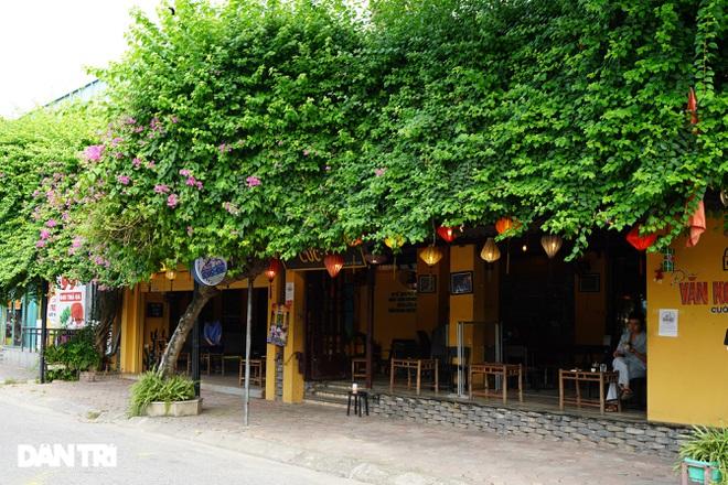 Hàng loạt quán cà phê mở cửa trở lại sau khi TP Hà Nội nới lỏng lệnh cấm-1