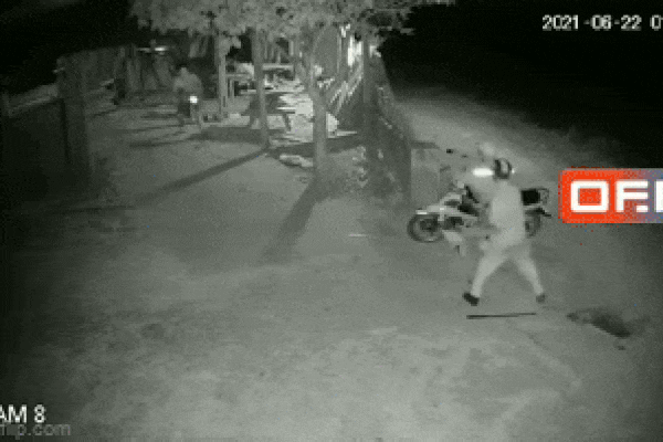 Clip: 4 cẩu tặc dùng súng điện cướp chó trước mặt chủ nhà-2