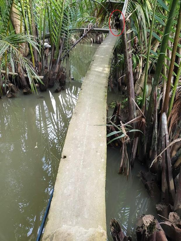 Thánh săn sale chơi khó shipper khi cho địa chỉ nhận hàng sợ run người-1