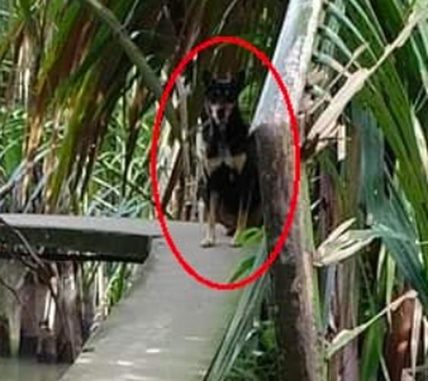 Thánh săn sale chơi khó shipper khi cho địa chỉ nhận hàng sợ run người-2