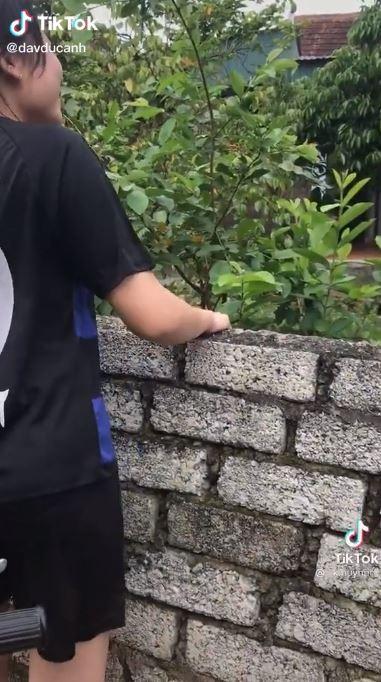 Ăn trộm vải đổ tường hàng xóm, thái độ cợt nhả của cô gái gây phẫn nộ-1