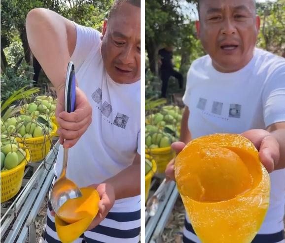 Bất ngờ trước cách nông dân Trung Quốc vận chuyển xoài chẳng cần tốn sức-2