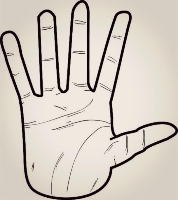 Nhìn hình dáng bàn tay, đoán điểm mạnh, điểm yếu của từng người-3