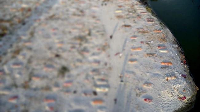 Dịch Covid-19 ở Ấn Độ vẫn chưa thôi ám ảnh: Xác chết lềnh bềnh trên sông Hằng-3