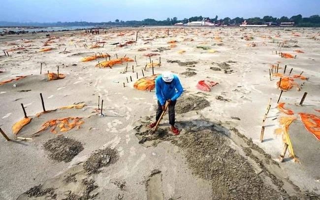 Dịch Covid-19 ở Ấn Độ vẫn chưa thôi ám ảnh: Xác chết lềnh bềnh trên sông Hằng-5