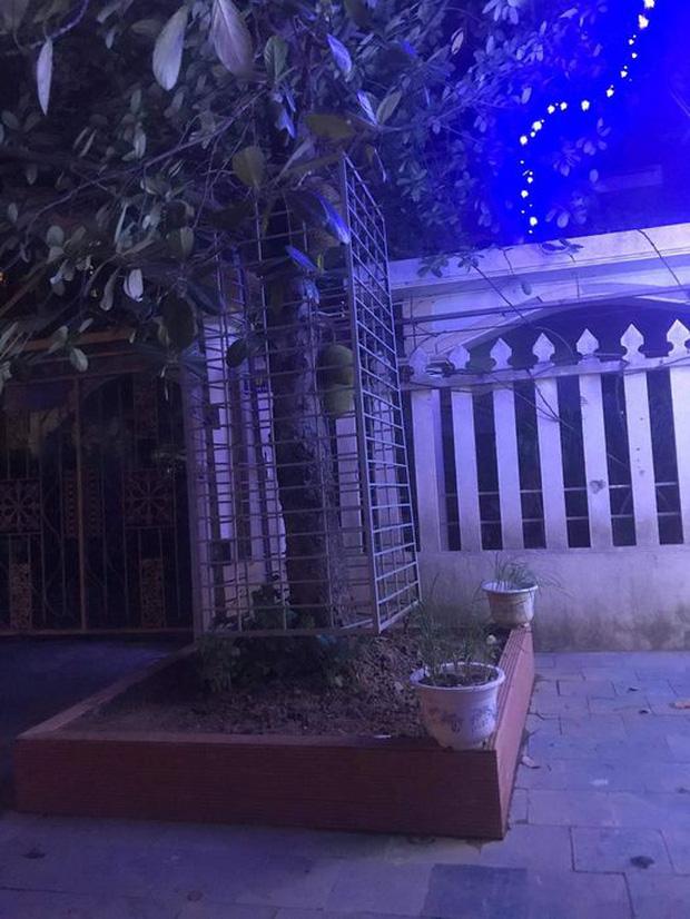 Cây treo đầy bao tải trên cành, ai cũng bật ngửa vì thâm ý của gia chủ-3