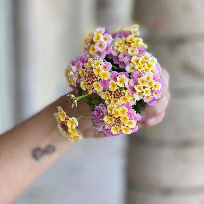 Những lần Britney Spears gửi tín hiệu cầu cứu khỏi cuộc sống như nô lệ-8