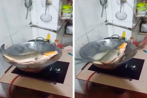 Đang ở giữa bãi biển, cô nàng thản nhiên nằm xuống bãi cát làm chuyện ái ngại-2