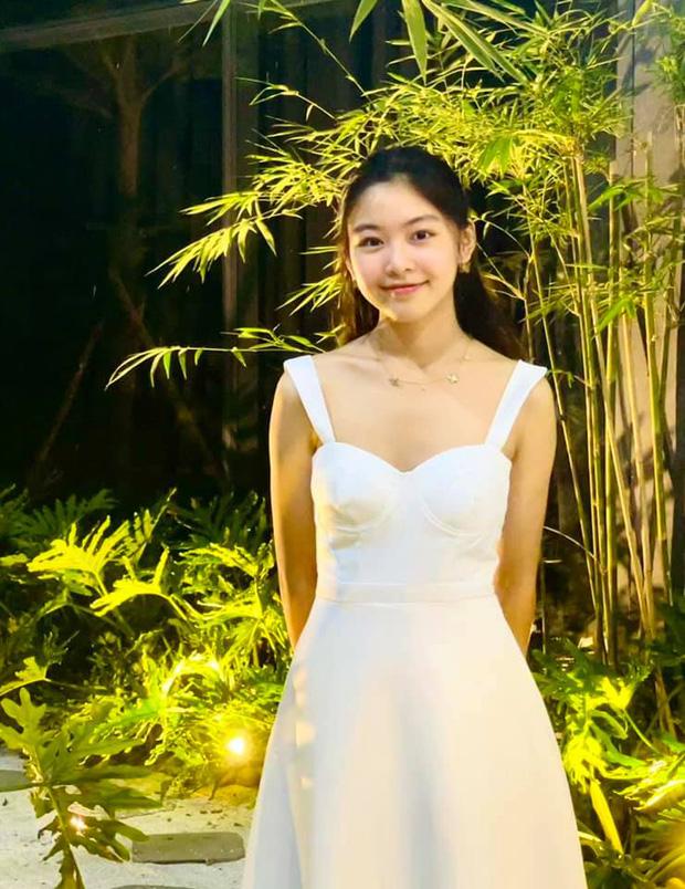 Chùm ảnh Lọ Lem nhà MC Quyền Linh quá đỗi là xinh-1