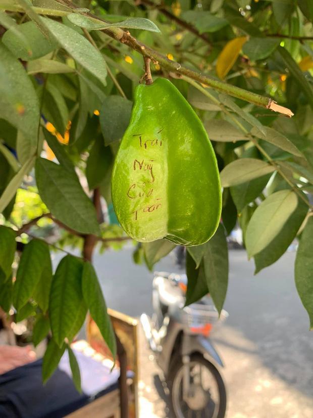 Cảnh báo Mít chua, đừng hái, chủ thớt nhận cái kết hơi phũ-6