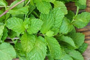 Những sai lầm nghiêm trọng khi nấu ăn có thể khiến chuyện ấy tụt dốc thê thảm-6