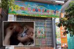 Trường mầm non nhét giẻ vào mồm bé 11 tháng: Mong gia đình bỏ qua
