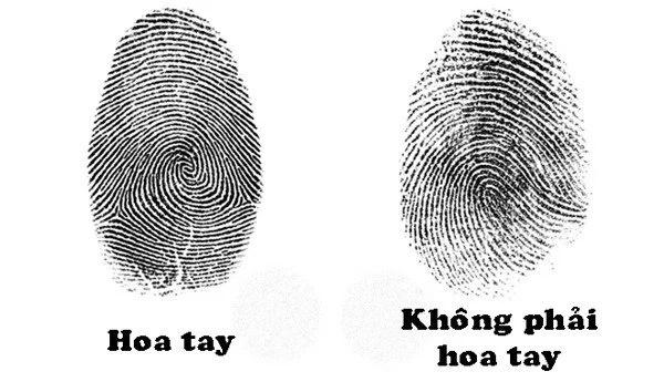 Xòe bàn tay đếm số hoa tay, đoán ngay số phận giàu sang hay nghèo khó-1