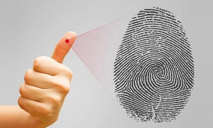 Xòe bàn tay đếm số hoa tay, đoán ngay số phận giàu sang hay nghèo khó-4