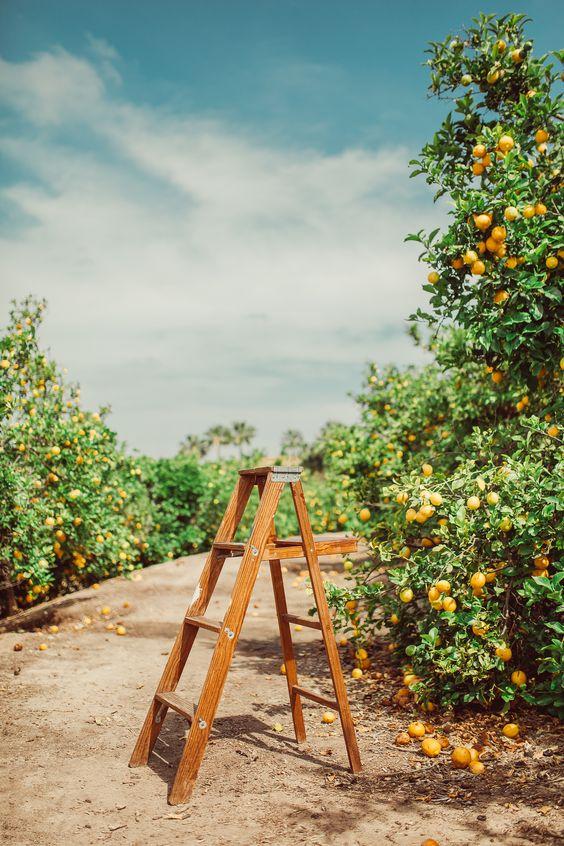 Tử vi 12 cung hoàng đạo thứ Năm ngày 1/7/2021: Sư Tử quá vô tâm-3