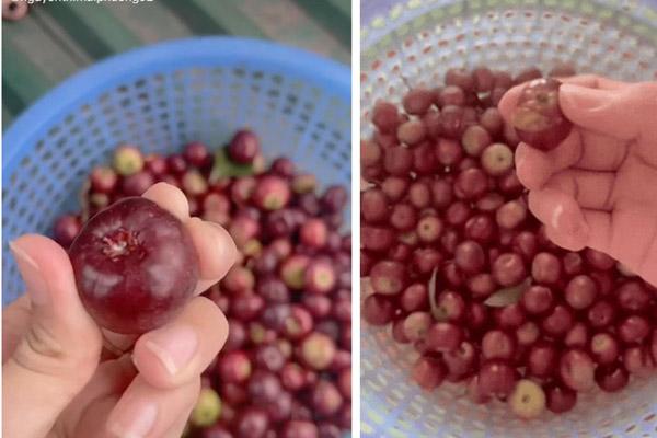 Những bí kíp sắp xếp cực hay giúp nhà bếp không còn lộn xộn-10