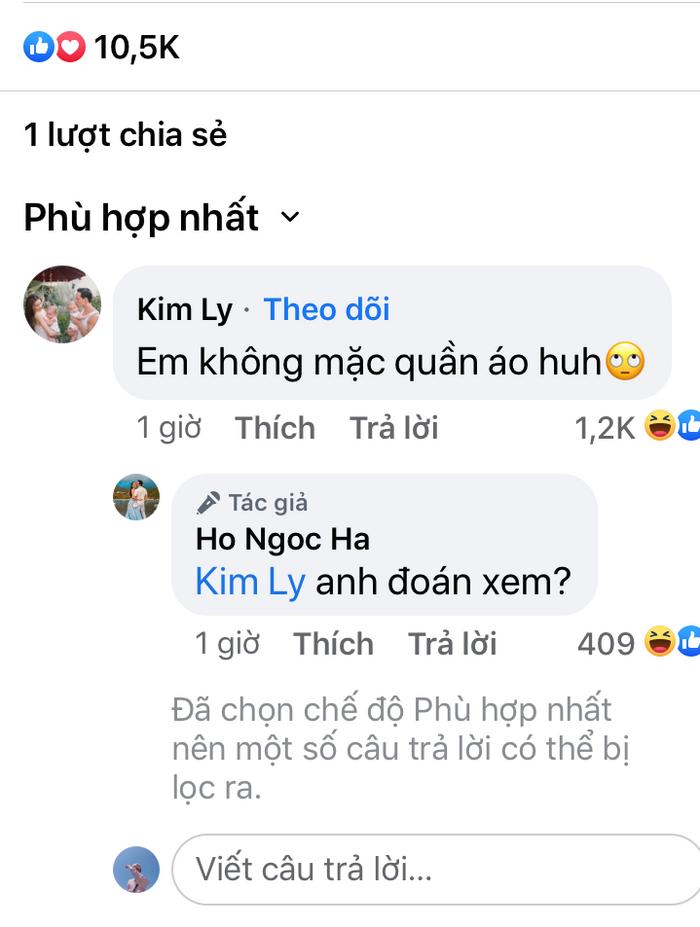 Poster mới của Hồ Ngọc Hà có gì mà khiến Kim Lý phải hốt?-2