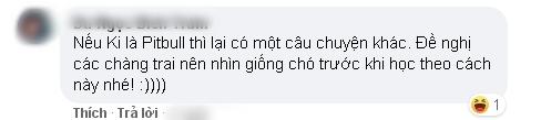 Pha thử lòng con rể tương lai đi vào lòng đất chỉ nhờ... một chú chó-6