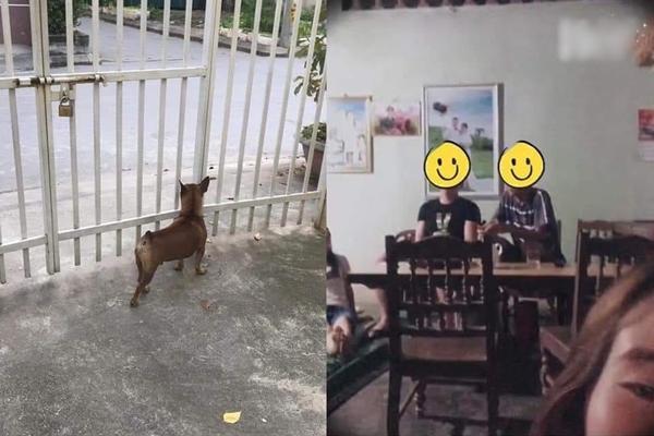 Cô gái chia sẻ chuyện tình của bố mẹ gây xúc động-3