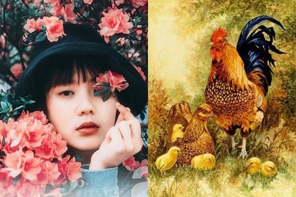 Không còn may mắn, tháng 7 tai ương đe dọa những con giáp này-3