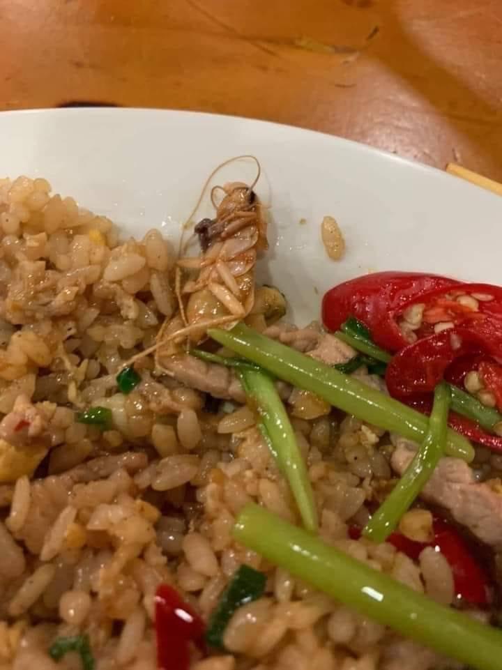 Gọi cơm chiên được chủ quán khuyến mại... gián mà ngỡ bề bề-1