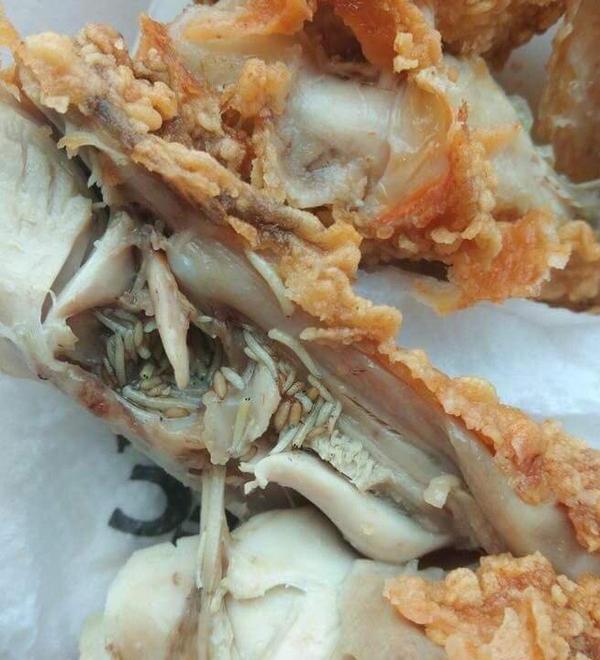 Gọi cơm chiên được chủ quán khuyến mại... gián mà ngỡ bề bề-5