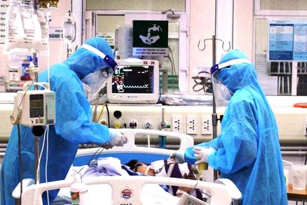 Xuất hiện chủng cúm gia cầm lần đầu tiên ở Việt Nam-2