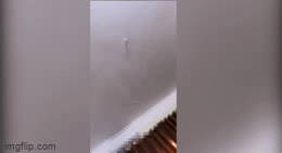 Mẹ bầu công khai clip bị chồng mẫu mực đánh đến muốn sảy thai-1