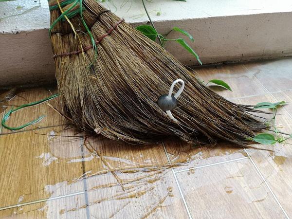 Những pha ở bẩn có số má: Nấm mọc thành cụm, chổi lau nhà mọc lá-9