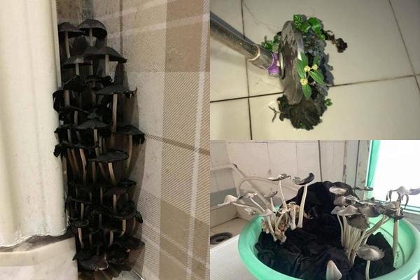 5 hình ảnh đỉnh cao của việc ăn ở bẩn thỉu nhất Trái Đất-6