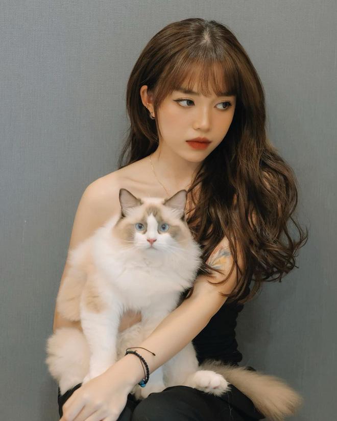 Streamer Việt đốt tiền: Độ Mixi chơi mô hình tiền tỷ, Linh Ngọc Đàm nuôi mèo trăm triệu-7