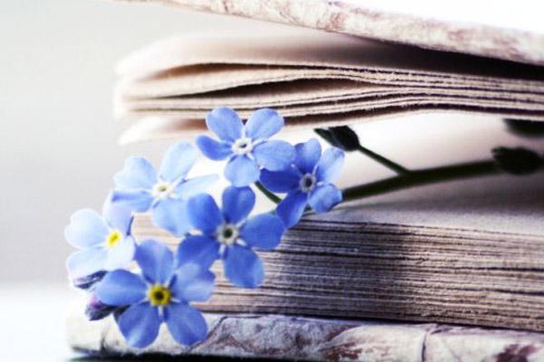 Top 4 cung hoàng đạo có khí chất lãnh đạo, thành công đến sớm-5