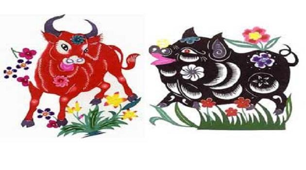 4 con giáp nữ tài sắc vẹn toàn, giàu ý chí, sống tự lập ai nhìn cũng nể-1