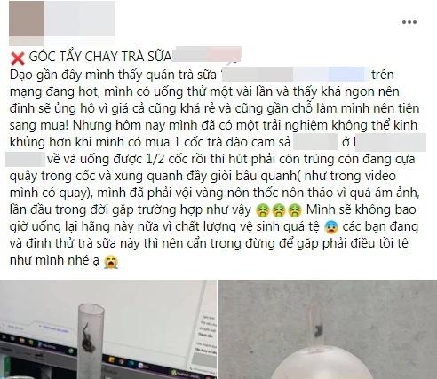 Cô gái tố quán trà sữa bán đồ uống có côn trùng, không ngờ bị lật ngược thuyết âm mưu-1