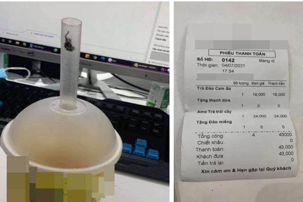 Thấy quả mít không có múi, thanh niên tưởng đột biến nhưng hoá ra là loại xịn-4