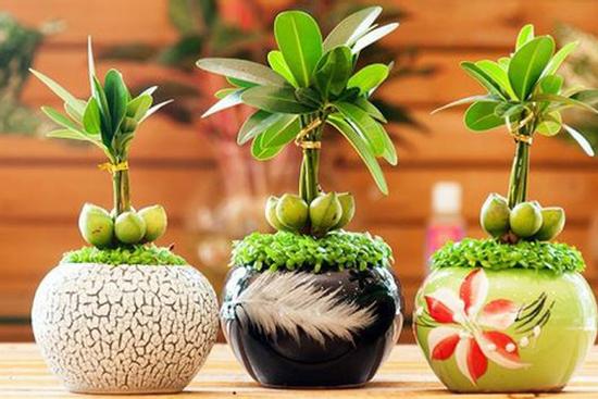 Nữ nhân muốn nắm quyền trong tay tuyệt đối không nên bỏ qua những vậy phong thủy này