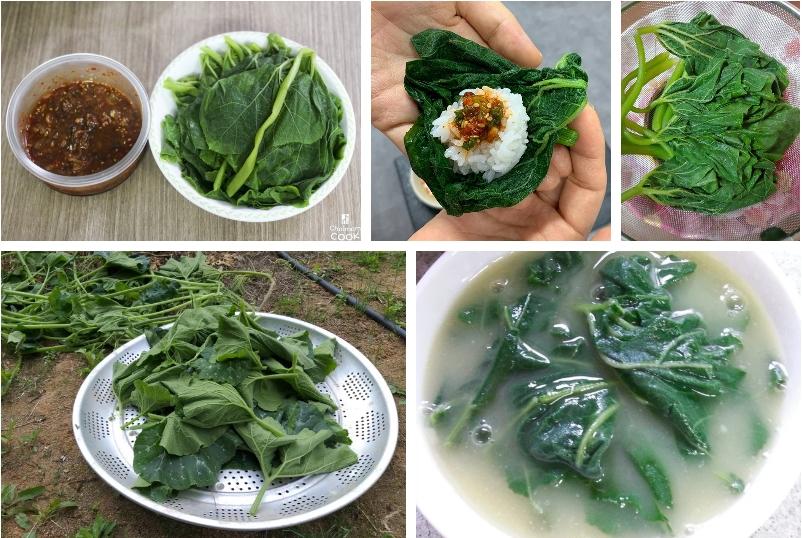 Cô gái Việt lấy làm lạ vì người Hàn ai cũng ăn bộ phận này của cây bí-3