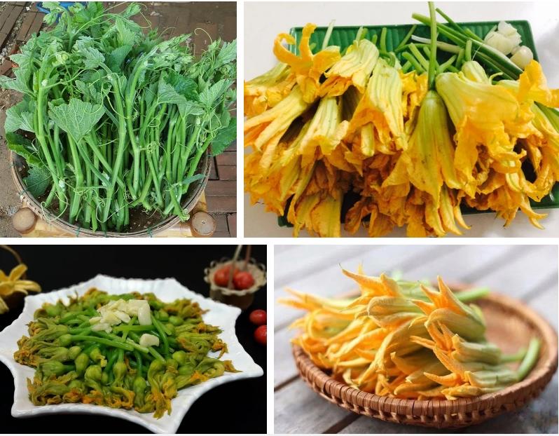 Cô gái Việt lấy làm lạ vì người Hàn ai cũng ăn bộ phận này của cây bí-5