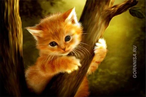 Con vật yêu thích tiết lộ điều gì đang chờ đợi bạn trong 60 ngày sắp tới?-3