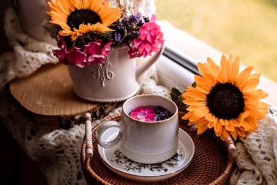 Tử vi 12 cung hoàng đạo thứ Năm ngày 8/7/2021: Bọ Cạp nhận được cơ hội hợp tác