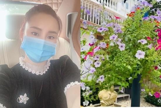 Vy Oanh làm gì sau tuyên bố thắng bà Phương Hằng?