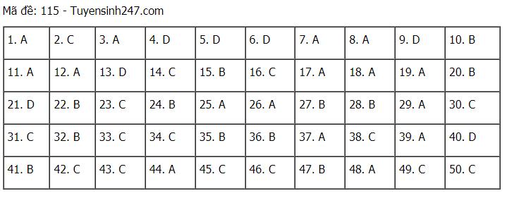 Đáp án chuẩn tất cả các mã đề môn Toán THPT Quốc gia 2021-15