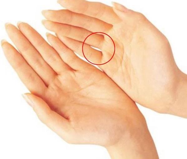 Nhìn vào khe hở trên bàn tay, dự báo tương lai bạn sẽ làm quan hay làm lính-2