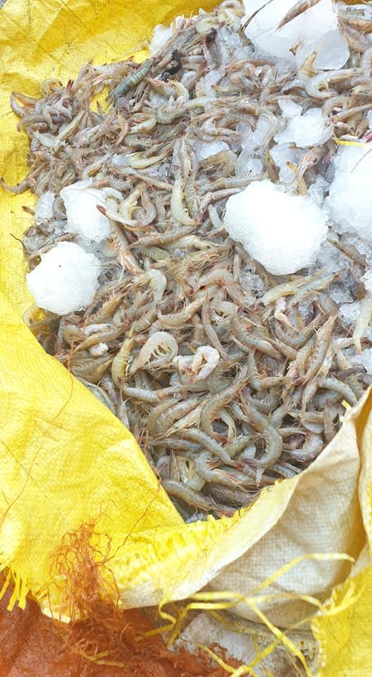 Cãi nhau nảy lửa vì mâm cơm đầy ắp ghẹ, tôm biển mà giá chỉ 70k-3