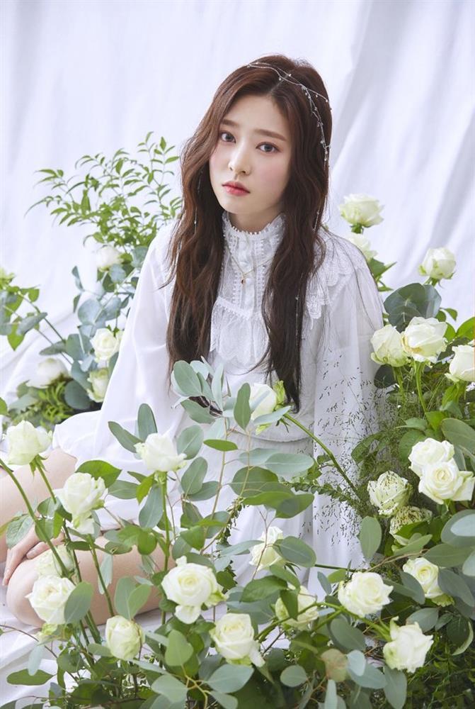 Chuyện 12 cung Hoàng đạo: Nhân Mã xởi lởi trời cho, sống sang chảnh-2